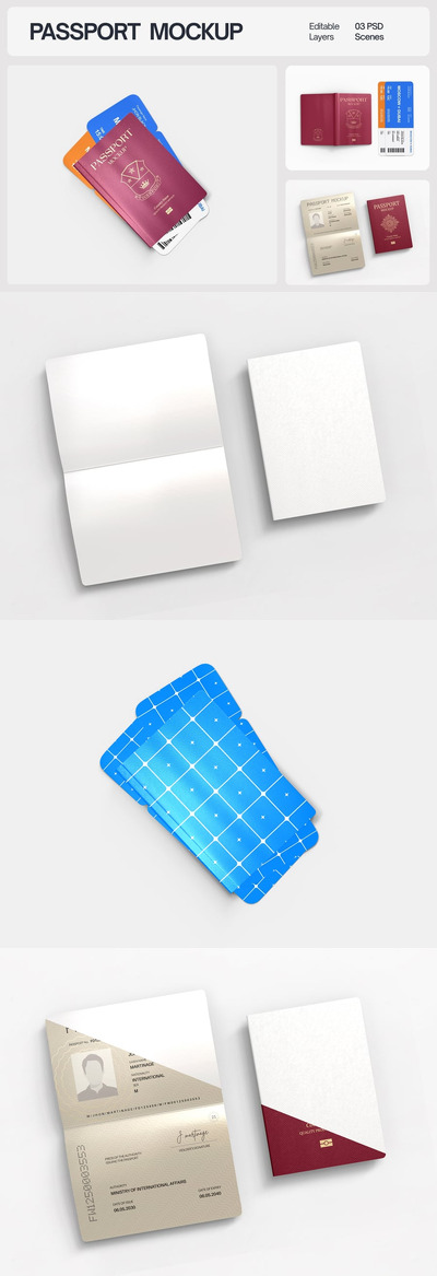国际护照封面样机套装