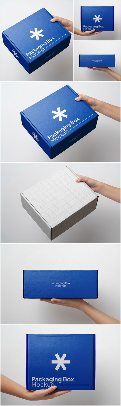包装盒模型