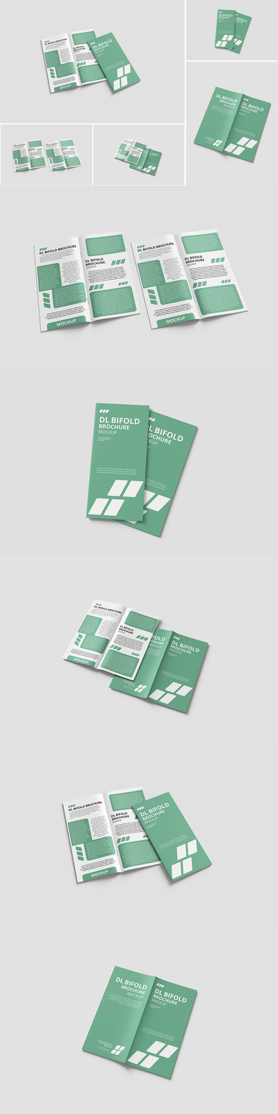 DL双折页宣传册样机
