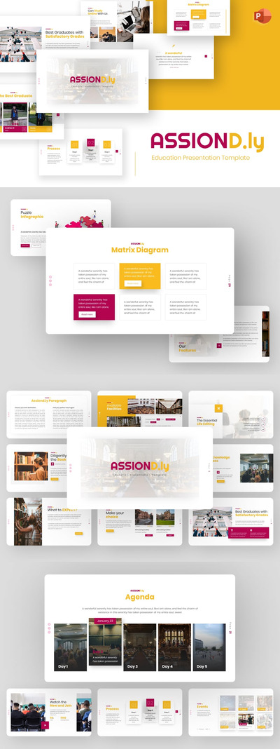 Assiond.ly 教育 PowerPoint 模板