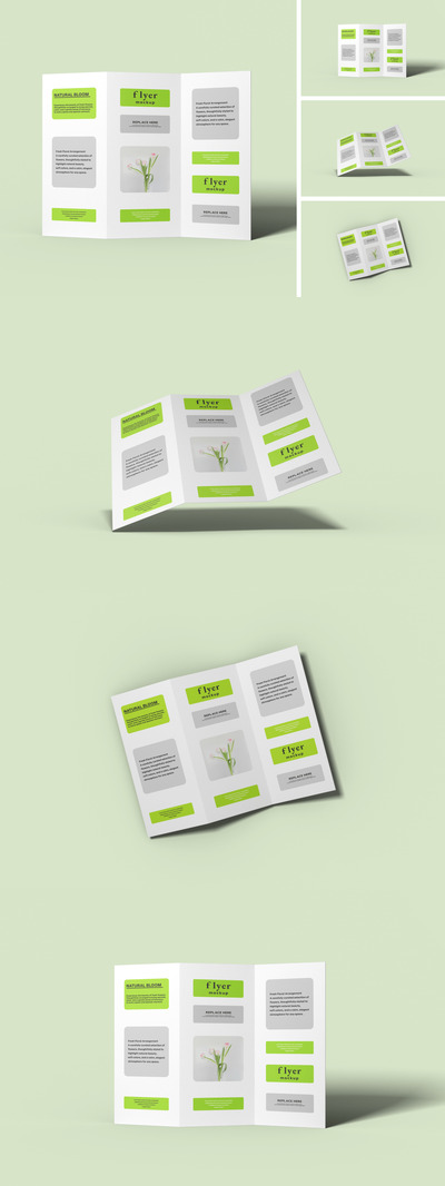 三折页样机套装