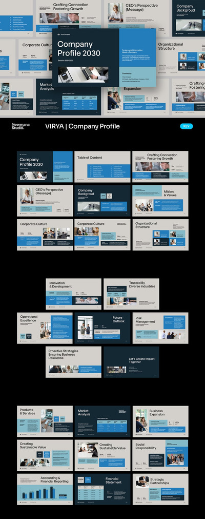Virya – 营销机构公司简介 关键信息