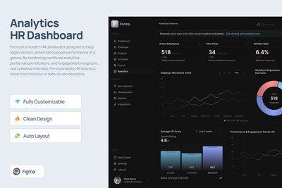 分析人力资源仪表盘 – 形式