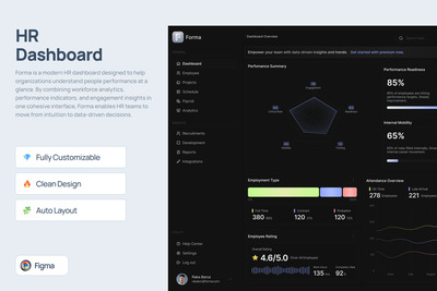 人力资源仪表盘 – 形式